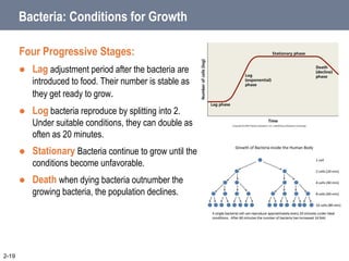Bacteria: Conditions for Growth
Four Progressive Stages:
 Lag adjustment period after the bacteria are
introduced to food. Their number is stable as
they get ready to grow.
 Log bacteria reproduce by splitting into 2.
Under suitable conditions, they can double as
often as 20 minutes.
 Stationary Bacteria continue to grow until the
conditions become unfavorable.
 Death when dying bacteria outnumber the
growing bacteria, the population declines.
2-19
 