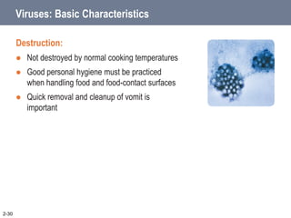 Viruses: Basic Characteristics
Destruction:
 Not destroyed by normal cooking temperatures
 Good personal hygiene must be practiced
when handling food and food-contact surfaces
 Quick removal and cleanup of vomit is
important
2-30
 