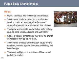 Fungi: Basic Characteristics
Molds
 Molds spoil food and sometimes cause illness.
 Some molds produce toxins, such as aflatoxins
which is produced by Aspergillus flavus and
Aspergillus parasiticus which causes liver disease.
 They grow well in acidic food with low water activity,
such as jams, jellies and cured and salty meat.
 Cooler or freezer temperatures may slow the growth
of molds but they do not kill them.
 Some molds produce toxins that can cause allergic
reactions, nervous system disorders and kidney and
liver damage.
 Throw out moldy food unless the mold is a natural
part of the product.
2-34
 