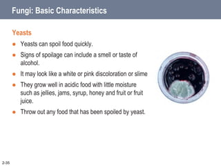 Fungi: Basic Characteristics
Yeasts
 Yeasts can spoil food quickly.
 Signs of spoilage can include a smell or taste of
alcohol.
 It may look like a white or pink discoloration or slime
 They grow well in acidic food with little moisture
such as jellies, jams, syrup, honey and fruit or fruit
juice.
 Throw out any food that has been spoiled by yeast.
2-35
 
