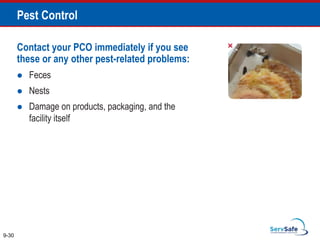 Pest Control
Contact your PCO immediately if you see
these or any other pest-related problems:
 Feces
 Nests
 Damage on products, packaging, and the
facility itself
9-30
 