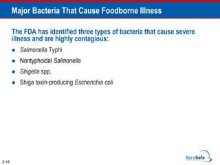 The FDA has identified three types of bacteria that cause severe
illness and are highly contagious:
 Salmonella Typhi
 Nontyphoidal Salmonella
 Shigella spp.
 Shiga toxin-producing Escherichia coli
2-18
Major Bacteria That Cause Foodborne Illness
 