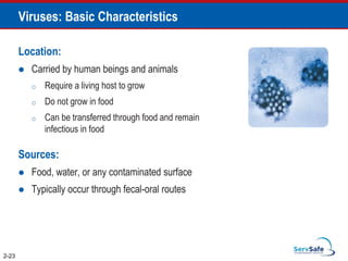 Viruses: Basic Characteristics
Location:
 Carried by human beings and animals
o Require a living host to grow
o Do not grow in food
o Can be transferred through food and remain
infectious in food
Sources:
 Food, water, or any contaminated surface
 Typically occur through fecal-oral routes
2-23
 