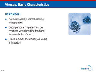 Viruses: Basic Characteristics
Destruction:
 Not destroyed by normal cooking
temperatures
 Good personal hygiene must be
practiced when handling food and
food-contact surfaces
 Quick removal and cleanup of vomit
is important
2-24
 