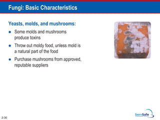 Yeasts, molds, and mushrooms:
 Some molds and mushrooms
produce toxins
 Throw out moldy food, unless mold is
a natural part of the food
 Purchase mushrooms from approved,
reputable suppliers
Fungi: Basic Characteristics
2-30
 