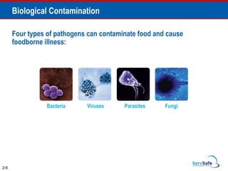 Biological Contamination
Four types of pathogens can contaminate food and cause
foodborne illness:
Viruses Parasites Fungi
2-6
Bacteria
 
