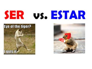 SER vs. ESTAR
 