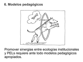 6. Modelos pedagógicos




Promover sinergias entre ecologías institucionales
y PELs requiere ante todo modelos pedagógico...