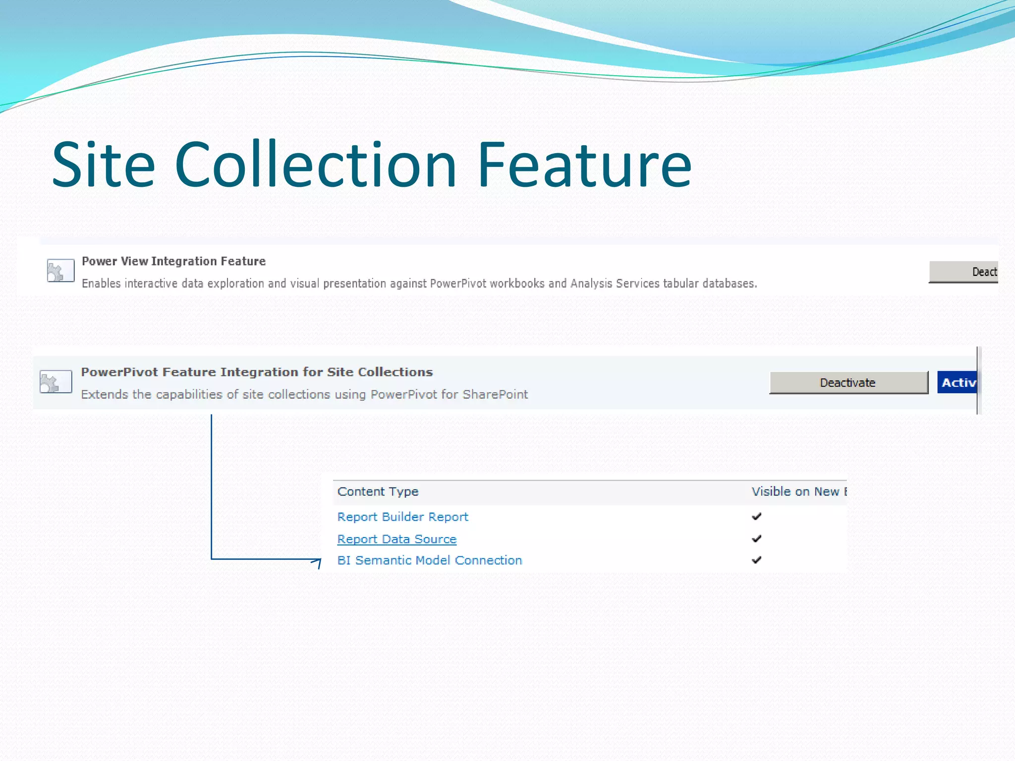 Site Collection Feature 