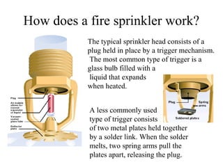 How does a fire sprinkler work?
The typical sprinkler head consists of a
plug held in place by a trigger mechanism.
The most common type of trigger is a
glass bulb filled with a
liquid that expands
when heated.
A less commonly used
type of trigger consists
of two metal plates held together
by a solder link. When the solder
melts, two spring arms pull the
plates apart, releasing the plug.
 