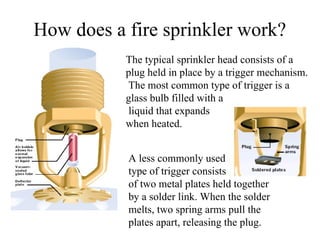 How does a fire sprinkler work?
The typical sprinkler head consists of a
plug held in place by a trigger mechanism.
The most common type of trigger is a
glass bulb filled with a
liquid that expands
when heated.
A less commonly used
type of trigger consists
of two metal plates held together
by a solder link. When the solder
melts, two spring arms pull the
plates apart, releasing the plug.
 