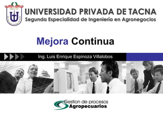 Mejora Continua UNIVERSIDAD PRIVADA DE TACNA Segunda Especialidad de Ingeniería en Agronegocios Ing. Luis Enrique Espinoza Villalobos 