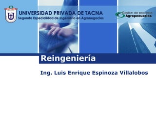Reingeniería UNIVERSIDAD PRIVADA DE TACNA Segunda Especialidad de Ingeniería en Agronegocios Ing. Luis Enrique Espinoza Villalobos 