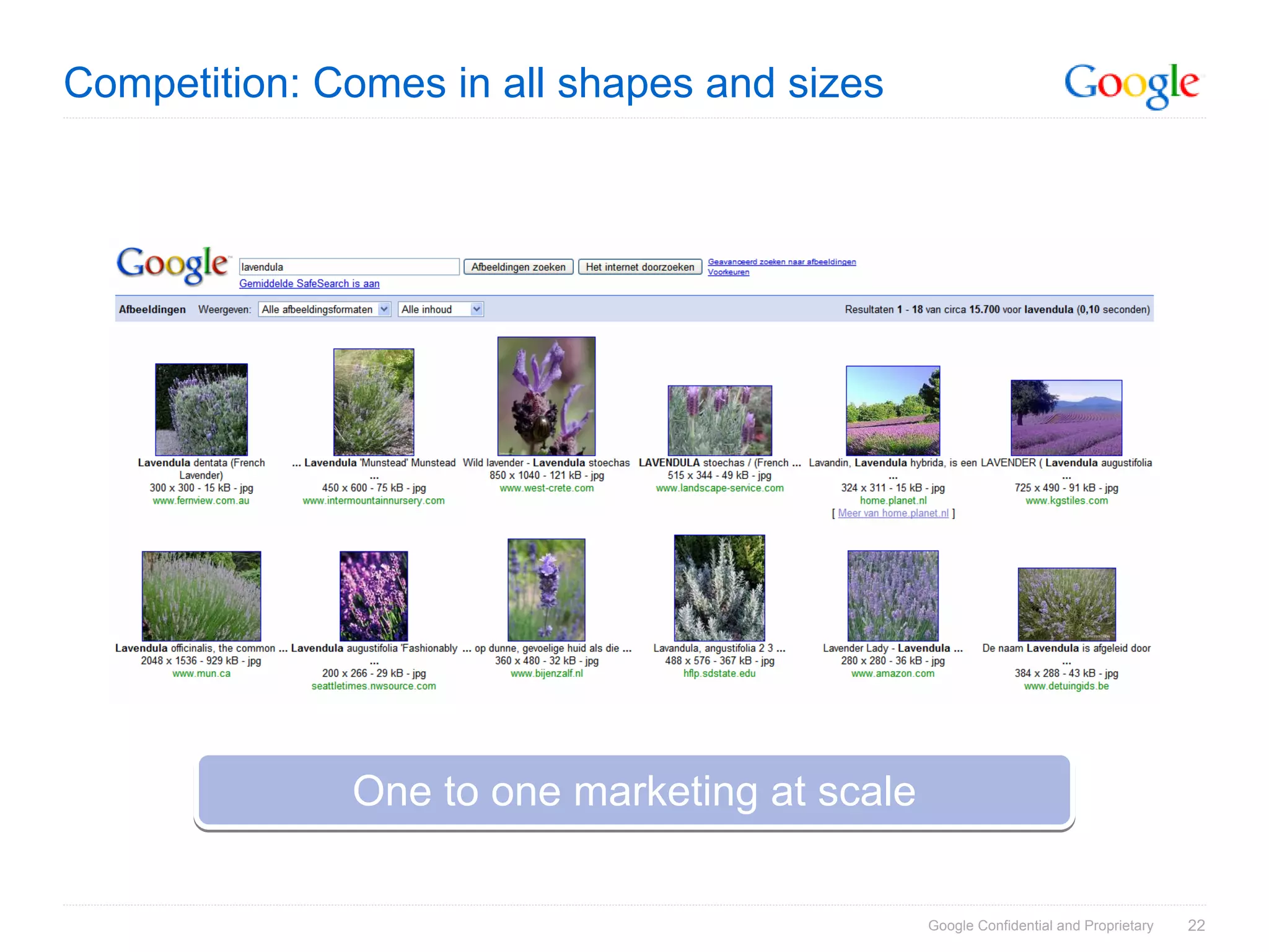 SES Amsterdam 17 maart 2009: Google