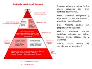 Quinua.- Alimento nativo de los
andes peruanos con gran
cantidad de proteínas.
Maca.- Alimento energético y
vigorizante con muchas proteínas,
vitaminas y carbohidratos.
Oca.- Alimento andino con
propiedades energéticas.
Kiwicha.- Contiene muchas
proteínas además de calcio,
fosforo, hierro, potasio, zinc y
vitaminas.
Olluco.- Gran fuente de
carbohidratos y vitamina C.