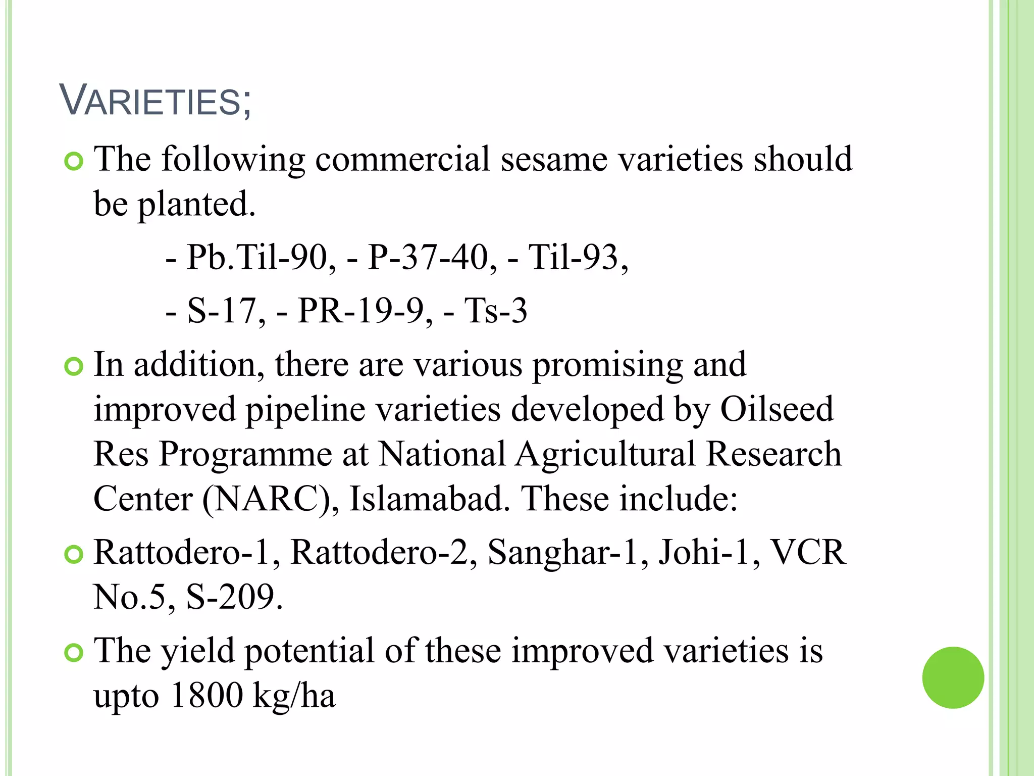 G Rasool Rattodero Production Technology of Sesame | PPTX