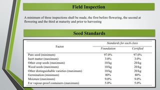 Seed Source Inspection Sesame seed production (introduction).pptx
