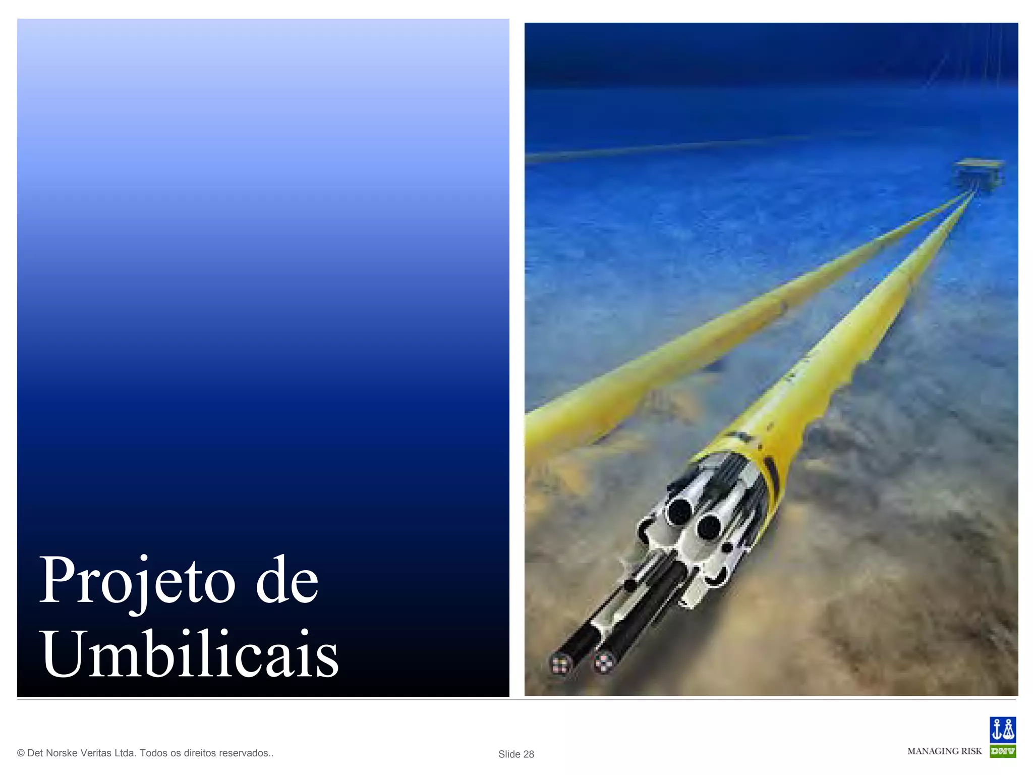 Projeto de
    Umbilicais
© Det Norske Veritas Ltda. Todos os direitos reservados..   Slide 28
 