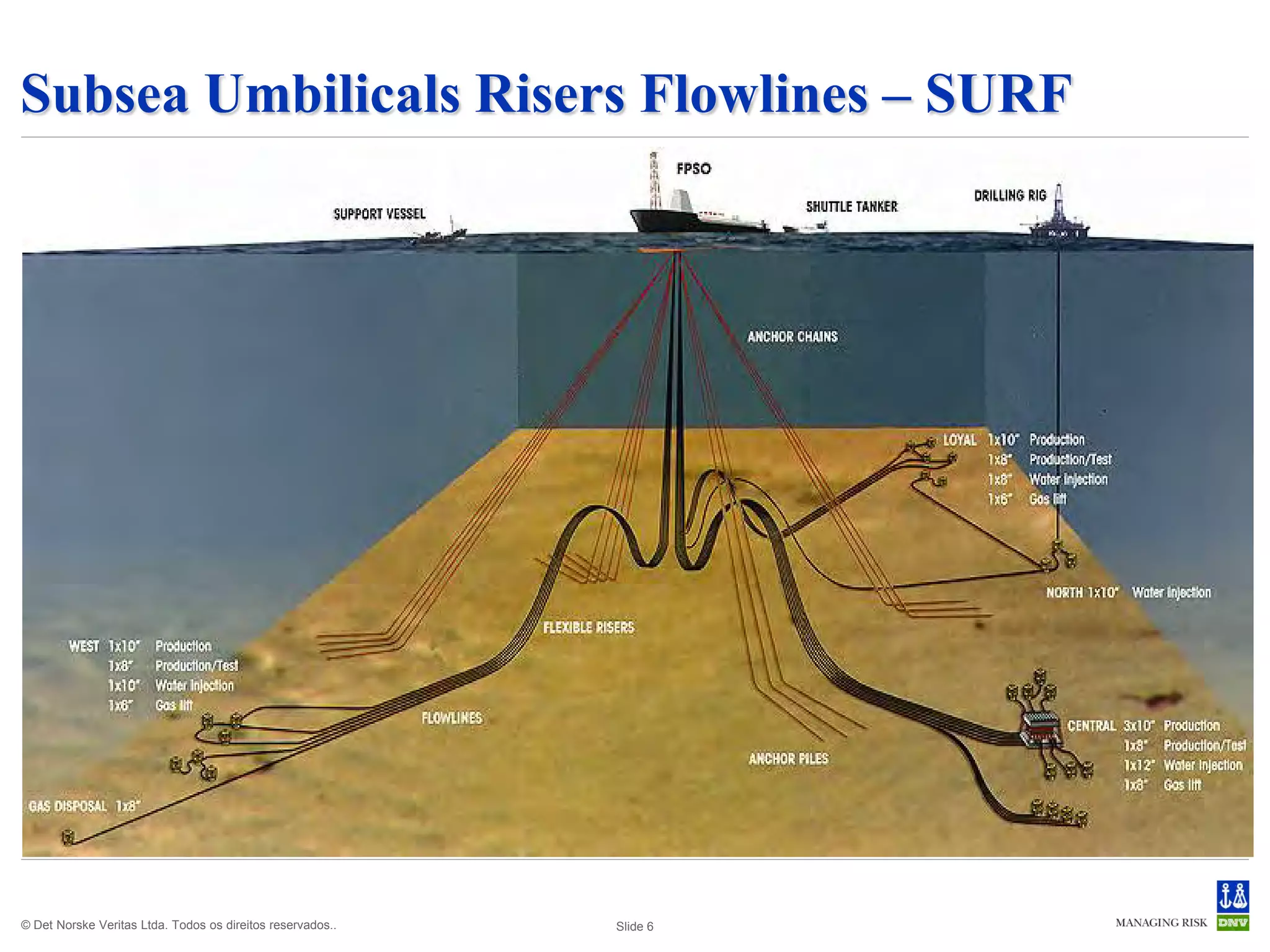 Subsea Umbilicals Risers Flowlines – SURF




© Det Norske Veritas Ltda. Todos os direitos reservados..   Slide 6
 