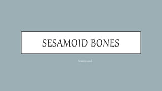 SESAMOID BONES
Sesame=seed
 