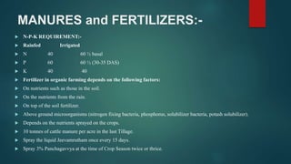MANURES and FERTILIZERS:-
 N-P-K REQUIREMENT:-
 Rainfed Irrigated
 N 40 60 ½ basal
 P 60 60 ½ (30-35 DAS)
 K 40 40
 Fertilizer in organic farming depends on the following factors:
 On nutrients such as those in the soil.
 On the nutrients from the rain.
 On top of the soil fertilizer.
 Above ground microorganisms (nitrogen fixing bacteria, phosphorus, solubilizer bacteria, potash solubilizer).
 Depends on the nutrients sprayed on the crops.
 10 tonnes of cattle manure per acre in the last Tillage.
 Spray the liquid Jeevamrutham once every 15 days.
 Spray 3% Panchagavvya at the time of Crop Season twice or thrice.
 