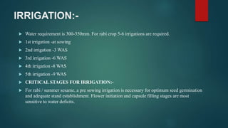 IRRIGATION:-
 Water requirement is 300-350mm. For rabi crop 5-6 irrigations are required.
 1st irrigation -at sowing
 2nd irrigation -3 WAS
 3rd irrigation -6 WAS
 4th irrigation -8 WAS
 5th irrigation -9 WAS
 CRITICAL STAGES FOR IRRIGATION:-
 For rabi / summer sesame, a pre sowing irrigation is necessary for optimum seed germination
and adequate stand establishment. Flower initiation and capsule filling stages are most
sensitive to water deficits.
 