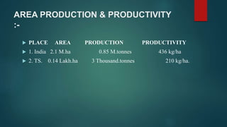 AREA PRODUCTION & PRODUCTIVITY
:-
 PLACE AREA PRODUCTION PRODUCTIVITY
 1. India 2.1 M.ha 0.85 M.tonnes 436 kg/ha
 2. TS. 0.14 Lakh.ha 3 Thousand.tonnes 210 kg/ha.
 
