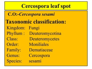 Cercospora leaf spot
C.O:-Cercospora sesami
Taxonomic classification:
Kingdom: Fungi
Phyllum : Deuteromycotina
Class: Deuteromycetes
Order: Moniliales
Family: Dematiaceae
Genus: Cercospora
Species: sesami
 