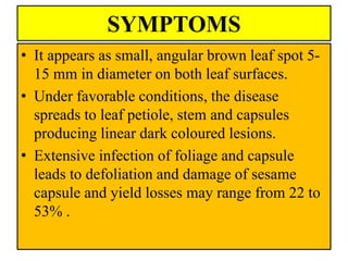 SYMPTOMS
• It appears as small, angular brown leaf spot 5-
15 mm in diameter on both leaf surfaces.
• Under favorable conditions, the disease
spreads to leaf petiole, stem and capsules
producing linear dark coloured lesions.
• Extensive infection of foliage and capsule
leads to defoliation and damage of sesame
capsule and yield losses may range from 22 to
53% .
 