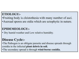 ETIOLOGY:-
•Fruiting body is cleistothesia with many number of asci.
•Asexual spores are oidia which are ectophytic in nature.
EPIDEMEOLOGY:-
• Dry humid weather and Low relative humidity.
Disease Cycle:-
•The Pathogen is an obligate parasite and disease spreads through
conidia in the infected plant debris in soil.
•The secondary spread is through wind-borne conidia.
 
