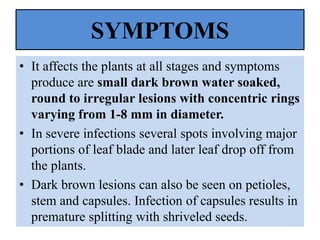 SYMPTOMS
• It affects the plants at all stages and symptoms
produce are small dark brown water soaked,
round to irregular lesions with concentric rings
varying from 1-8 mm in diameter.
• In severe infections several spots involving major
portions of leaf blade and later leaf drop off from
the plants.
• Dark brown lesions can also be seen on petioles,
stem and capsules. Infection of capsules results in
premature splitting with shriveled seeds.
 