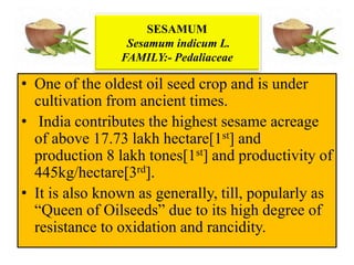 • One of the oldest oil seed crop and is under
cultivation from ancient times.
• India contributes the highest sesame acreage
of above 17.73 lakh hectare[1st] and
production 8 lakh tones[1st] and productivity of
445kg/hectare[3rd].
• It is also known as generally, till, popularly as
“Queen of Oilseeds” due to its high degree of
resistance to oxidation and rancidity.
SESAMUM
Sesamum indicum L.
FAMILY:- Pedaliaceae
 