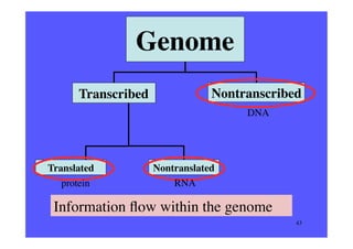 Genome

	


Transcribed	


Nontranscribed	

DNA	


Translated	

protein	


Nontranslated	

RNA	


Information ﬂow within t...