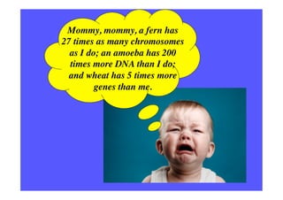 What is and what isn’t “junk DNA”	

There are known knowns; there are
things we know that we know. 	

	

There are known u...