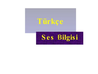 Türkçe Ses  B ilgisi 