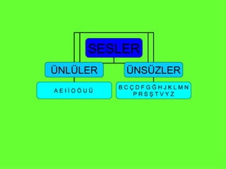 SESLER ÜNLÜLER ÜNSÜZLER A E I İ O Ö U Ü  B C Ç D F G Ğ H J K L M N P R S Ş T V Y Z  