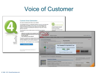Voice of Customer © 1998 - 2011 BryanEisenberg.com 