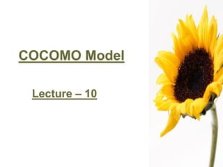 COCOMO Model
Lecture – 10
 