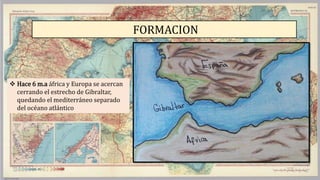 FORMACION
 Hace 6 m.a áfrica y Europa se acercan
cerrando el estrecho de Gibraltar,
quedando el mediterráneo separado
del océano atlántico
 