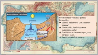 Condiciones necesarias para su
formación:
 Cuenca endorreica (sin afluente
normal)
 Clima árido, desértico (tasa
evaporación alta)
 Confluente activos con agua y con
carga de sales.
 Actividad tectónica mayor
 