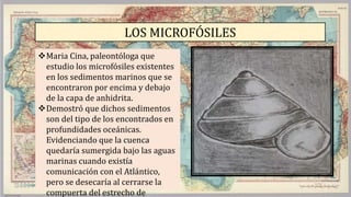 LOS MICROFÓSILES
Maria Cina, paleontóloga que
estudio los microfósiles existentes
en los sedimentos marinos que se
encontraron por encima y debajo
de la capa de anhidrita.
Demostró que dichos sedimentos
son del tipo de los encontrados en
profundidades oceánicas.
Evidenciando que la cuenca
quedaría sumergida bajo las aguas
marinas cuando existía
comunicación con el Atlántico,
pero se desecaría al cerrarse la
compuerta del estrecho de
 
