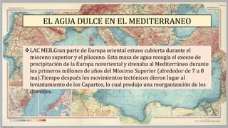 EL AGUA DULCE EN EL MEDITERRANEO
LAC MER.Gran parte de Europa oriental estuvo cubierta durante el
mioceno superior y el plioceno. Esta masa de agua recogía el exceso de
precipitación de la Europa nororiental y drenaba al Mediterráneo durante
los primeros millones de años del Mioceno Superior (alrededor de 7 u 8
ma).Tiempo después los movimientos tectónicos dieron lugar al
levantamiento de los Capartos, lo cual produjo una reorganización de los
drenajes.
 