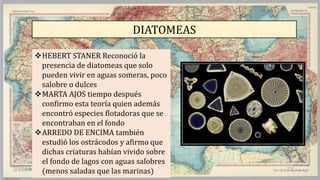 DIATOMEAS
HEBERT STANER Reconoció la
presencia de diatomeas que solo
pueden vivir en aguas someras, poco
salobre o dulces
MARTA AJOS tiempo después
confirmo esta teoría quien además
encontró especies flotadoras que se
encontraban en el fondo
ARREDO DE ENCIMA también
estudió los ostrácodos y afirmo que
dichas criaturas habían vivido sobre
el fondo de lagos con aguas salobres
(menos saladas que las marinas)
 