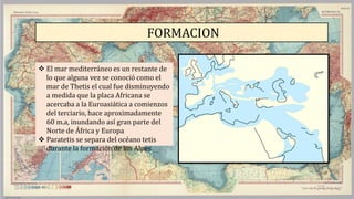 FORMACION
 El mar mediterráneo es un restante de
lo que alguna vez se conoció como el
mar de Thetis el cual fue disminuyendo
a medida que la placa Africana se
acercaba a la Euroasiática a comienzos
del terciario, hace aproximadamente
60 m.a, inundando así gran parte del
Norte de África y Europa
 Paratetis se separa del océano tetis
durante la formación de los Alpes
 