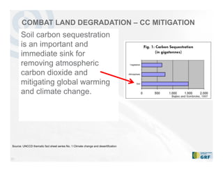 30
COMBAT LAND DEGRADATION – CC MITIGATION
Soil carbon sequestration
is an important and
immediate sink for
removing atmospheric
carbon dioxide and
mitigating global warming
and climate change.
Source: UNCCD thematic fact sheet series No. 1 Climate change and desertification
 