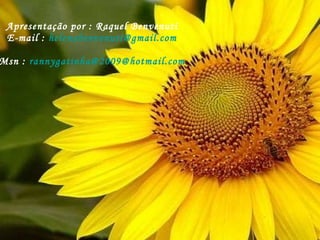 Apresentação por : Raquel Benvenuti E-mail :  [email_address] Msn :  rannygatinha@2009@hotmail.com 