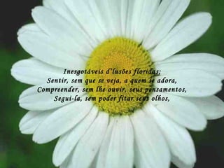 Inesgotáveis d’lusões floridas; Sentir, sem que se veja, a quem se adora, Compreender, sem lhe ouvir, seus pensamentos, Segui-la, sem poder fitar seus olhos, 
