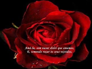 Amá-la, sem ousar dizer que amamos, E, temendo roçar os seus vestidos, 