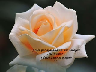 Arder por afogá-la em mil abraços: Isso é amor... e desse amor se morre!" *** 