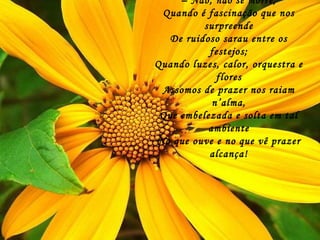 Se se morre de amor?! –  Não, não se morre, Quando é fascinação que nos surpreende De ruidoso sarau entre os festejos; Quando luzes, calor, orquestra e flores Assomos de prazer nos raiam n’alma, Que embelezada e solta em tal ambiente No que ouve e no que vê prazer alcança! 